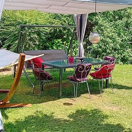 Camping Under The Walnut In Your Own Tent On A Shared Lot And Shared Bathroom Λιουμπλιάνα Εξωτερικό φωτογραφία