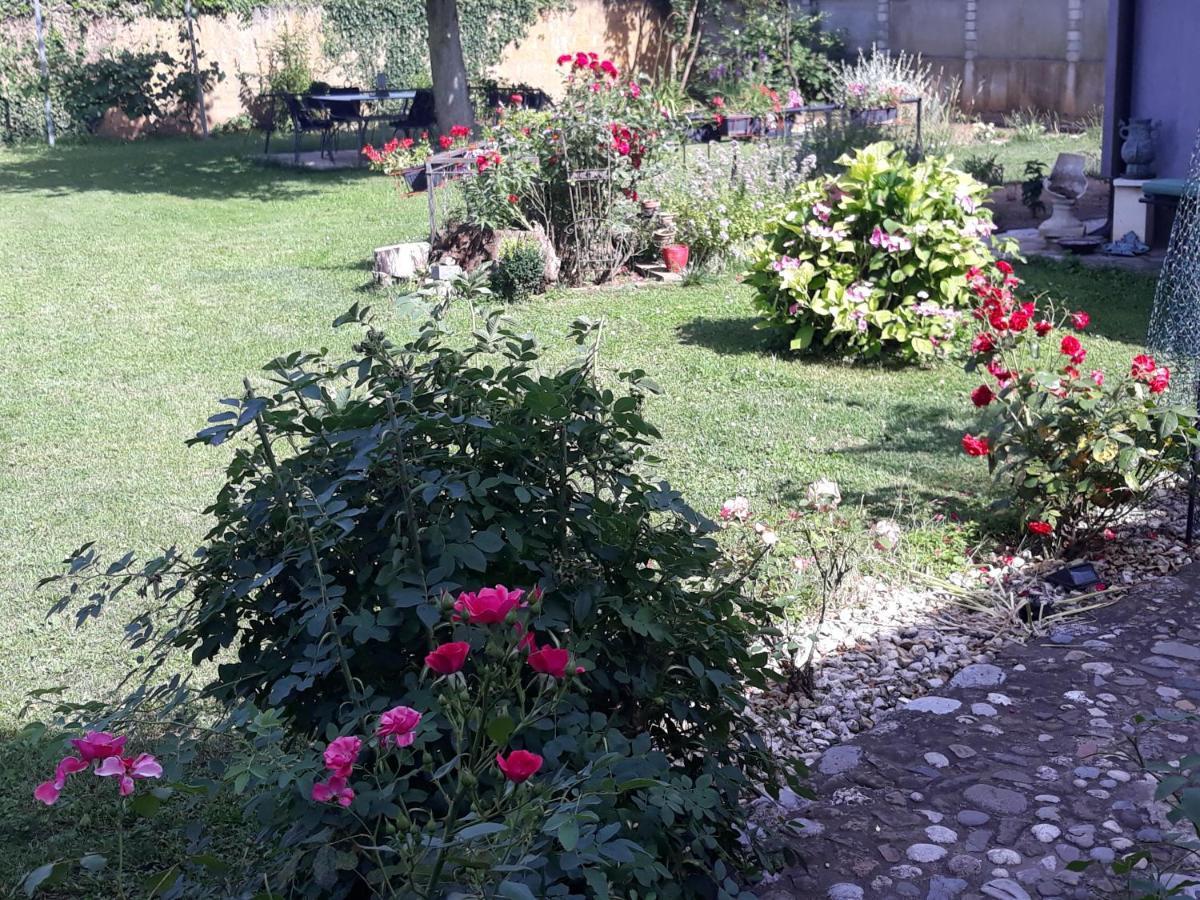 Camping Under The Walnut In Your Own Tent On A Shared Lot And Shared Bathroom Λιουμπλιάνα Εξωτερικό φωτογραφία