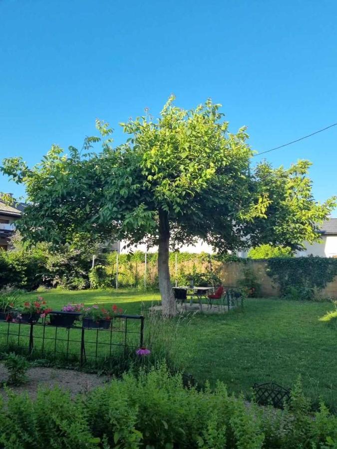 Camping Under The Walnut In Your Own Tent On A Shared Lot And Shared Bathroom Λιουμπλιάνα Εξωτερικό φωτογραφία