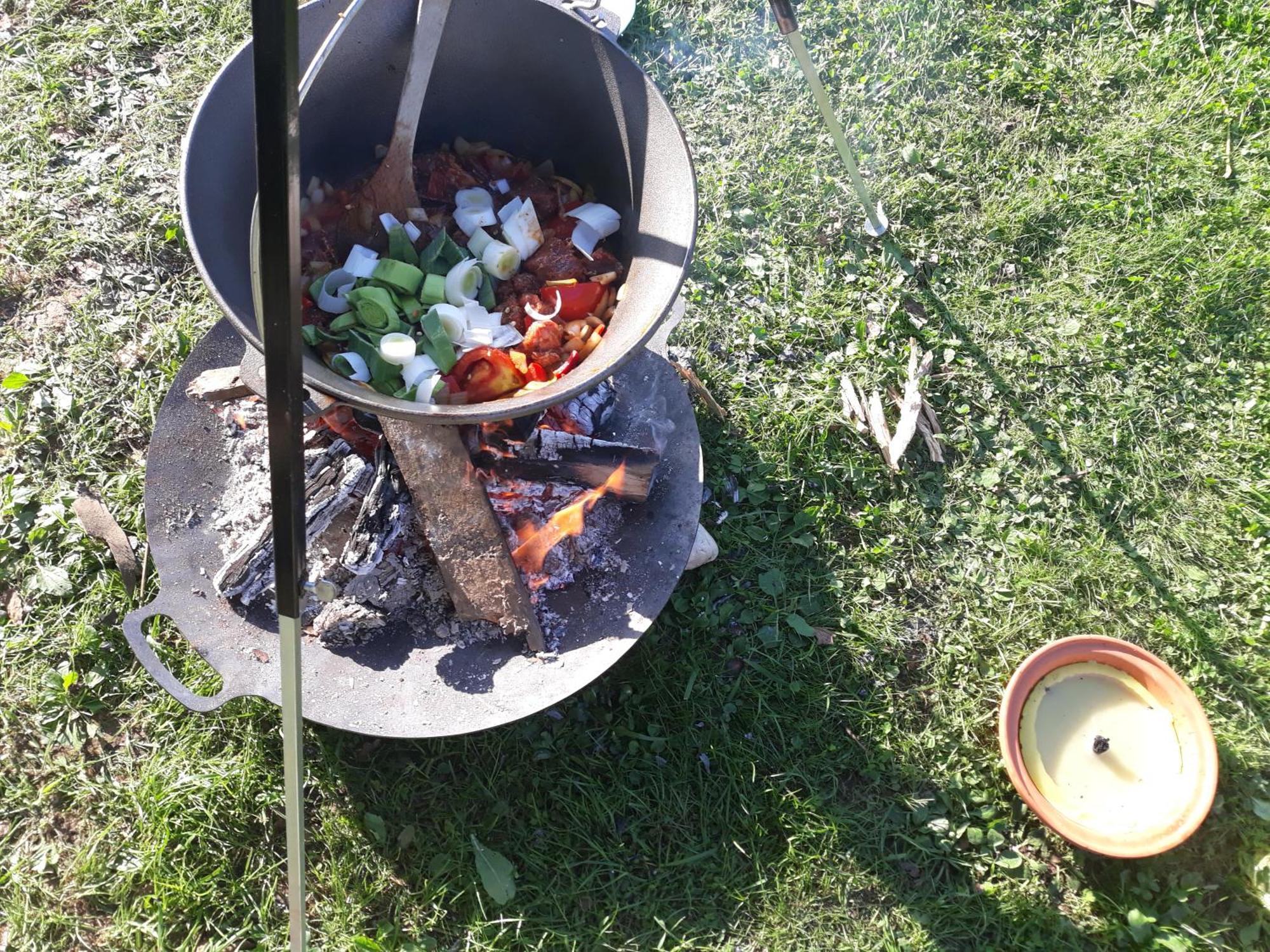 Camping Under The Walnut In Your Own Tent On A Shared Lot And Shared Bathroom Λιουμπλιάνα Εξωτερικό φωτογραφία