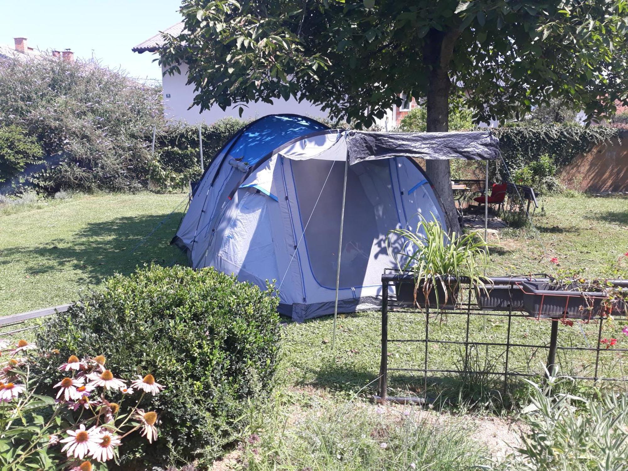 Camping Under The Walnut In Your Own Tent On A Shared Lot And Shared Bathroom Λιουμπλιάνα Εξωτερικό φωτογραφία