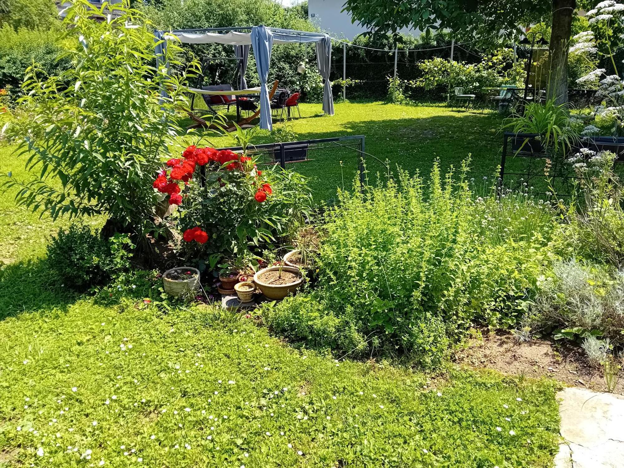 Camping Under The Walnut In Your Own Tent On A Shared Lot And Shared Bathroom Λιουμπλιάνα Εξωτερικό φωτογραφία